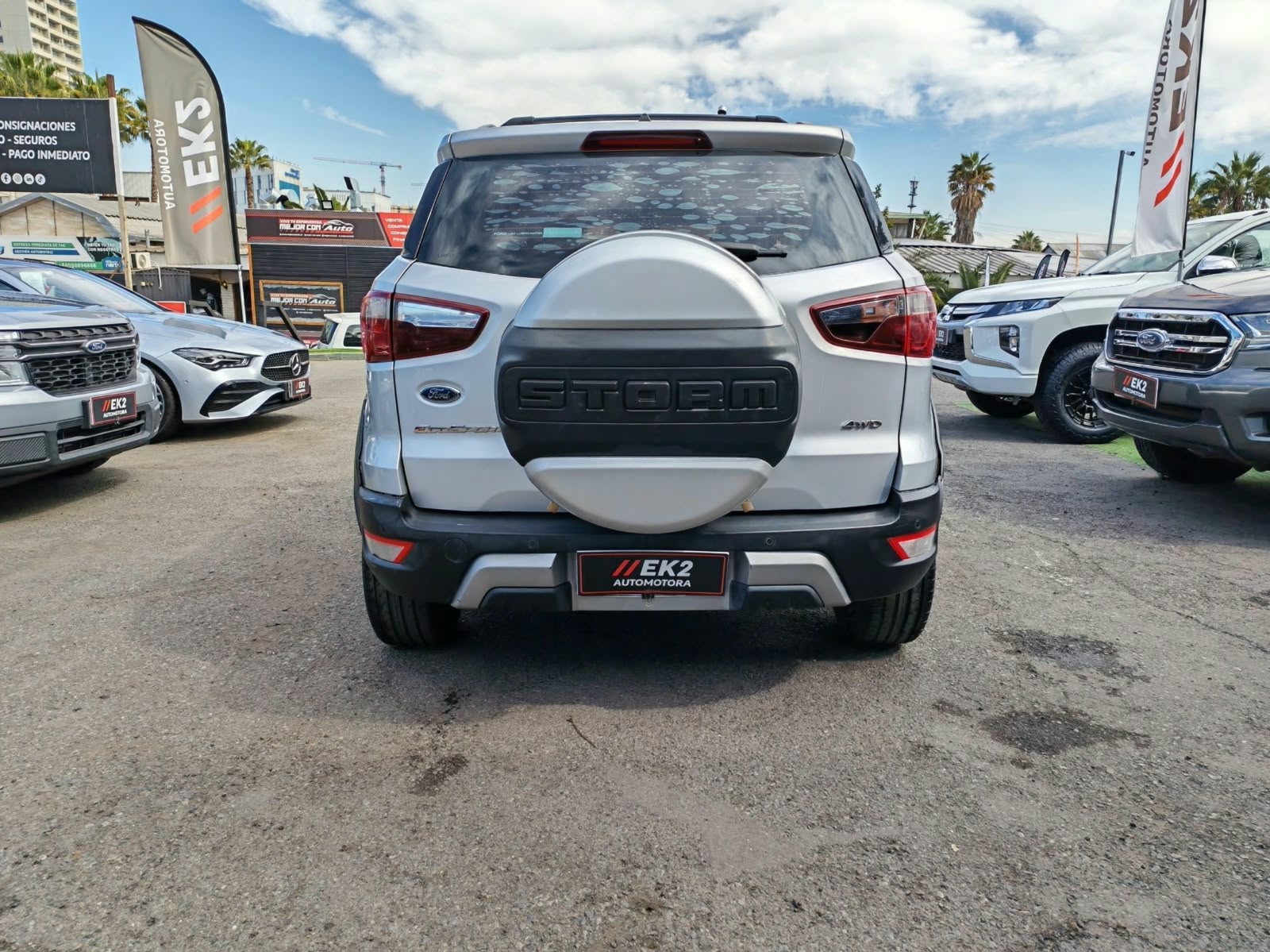 Ford Ecosport Storm — foto 4 de 15